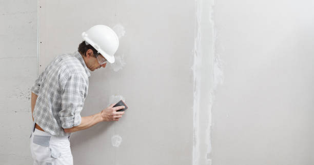 Best Wallpaper Removal and Painting  in Hazleton, PA